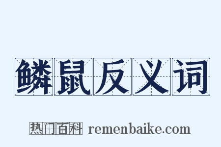 鳞鼠反义词是什么意思的图片